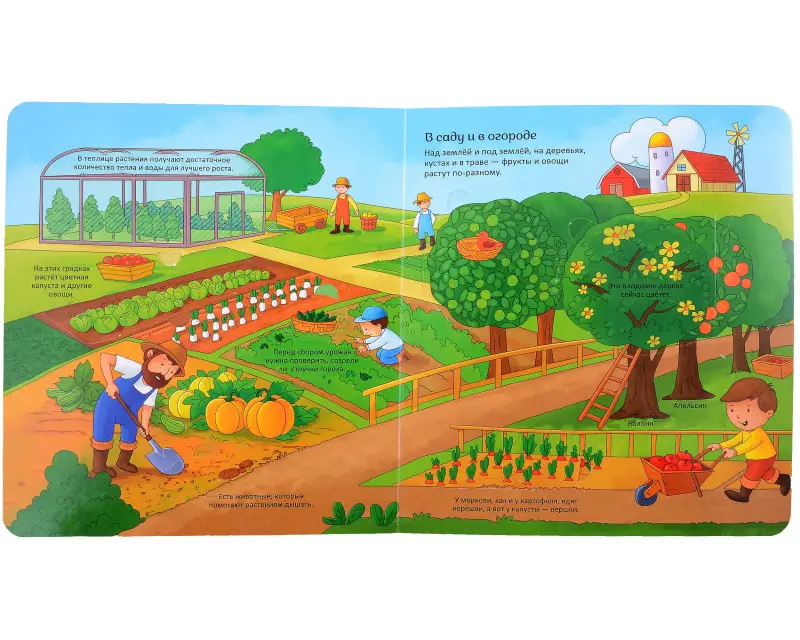 Уценка. В деревне. Энциклопедия с окошками