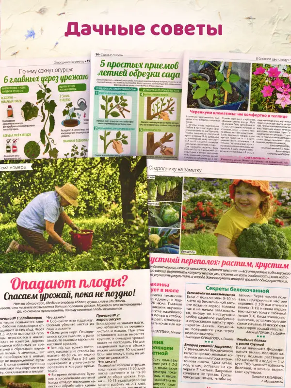 W0787 Набор журналов "Сваты" 4 журнала + кроссворды в подарок