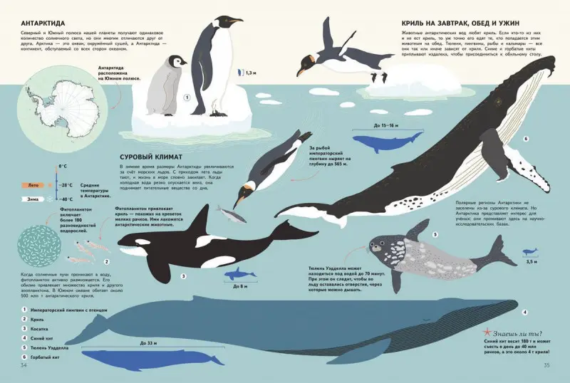 Уценка. Подводный мир. Визуальный гид