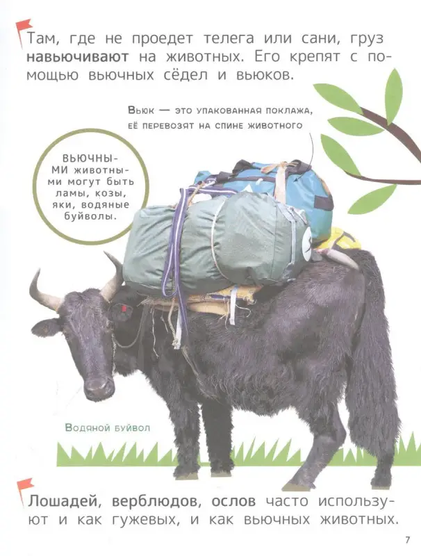 Уценка. Техника. Энциклопедия для первого чтения с крупными буквами