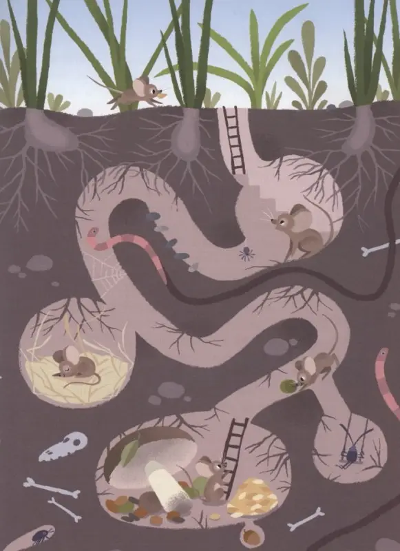 Этот удивительный мир вокруг