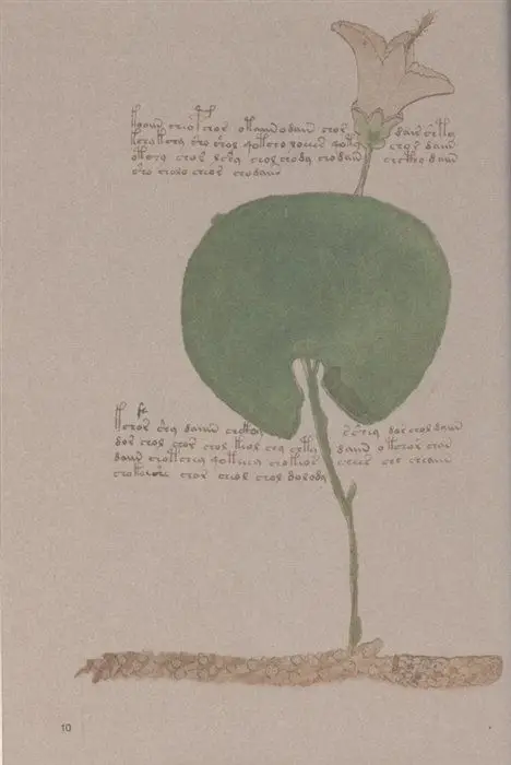 Уценка. Манускрипт Войнича