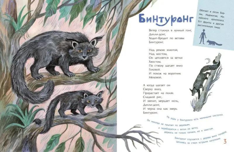 Удивительные звери