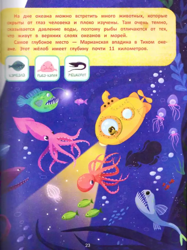 Природа мира. Энциклопедия для малышей в сказках: Елена Ульева
