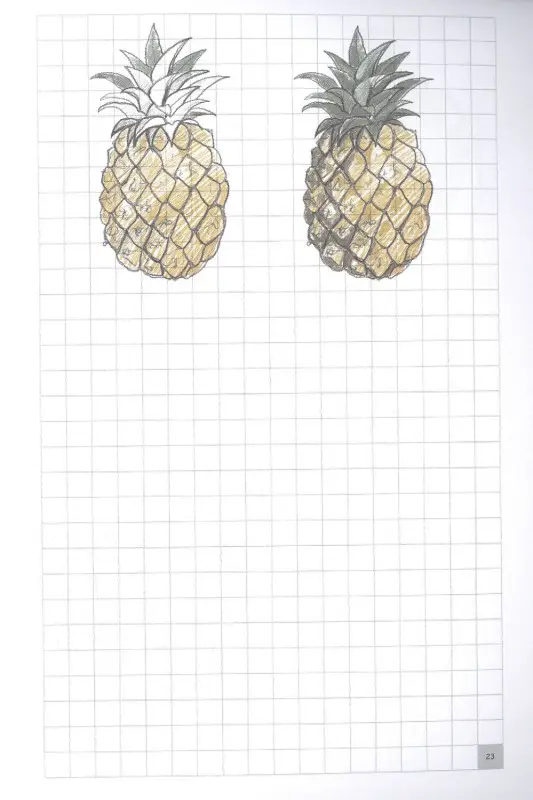 Грей Мистер: Экспресс-курс по рисованию. Раскрась меня!