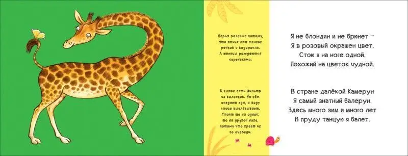 Уценка. В Африке. Смешные половинки