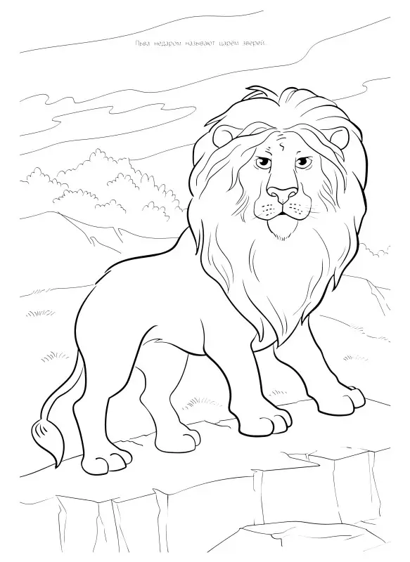 Уценка. Мегараскраска. Животные