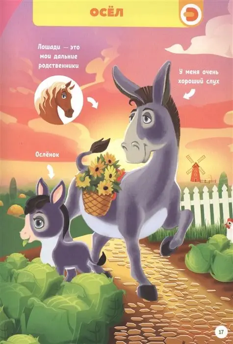 Моя первая энциклопедия Devar. Домашние животные. Специздание