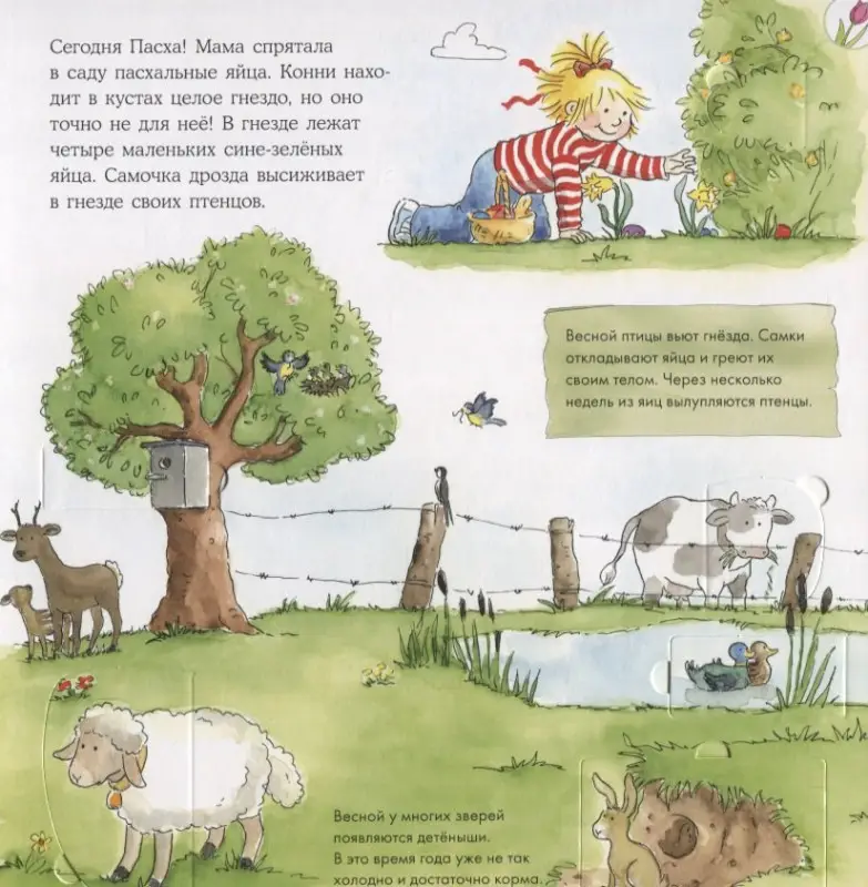 Шнайдер Лиана. Времена года с Конни (книга с окошками)