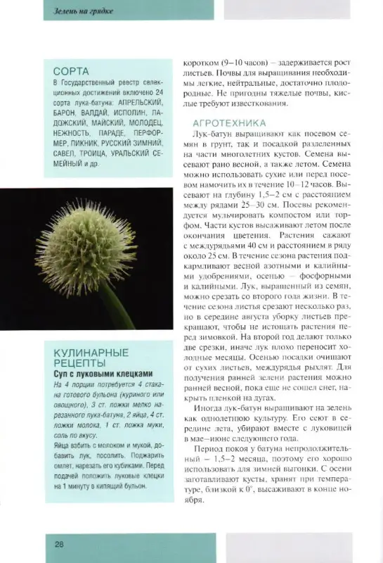 Моя чудесная дача. Том 5. Зелень на грядке