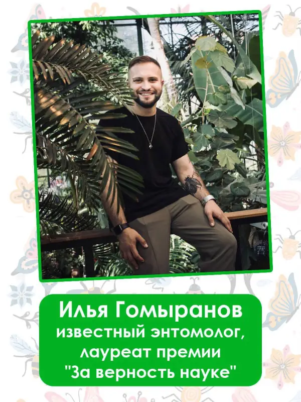 Гомыранов Илья Алексеевич: Удивительные насекомые