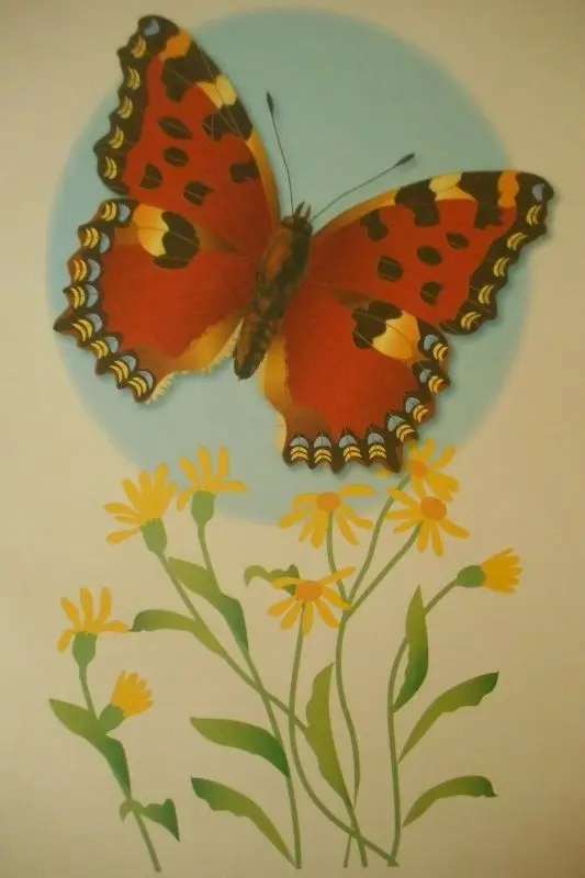 Уценка. Наглядно-дидактический материал с конспектами занятий. Бабочки