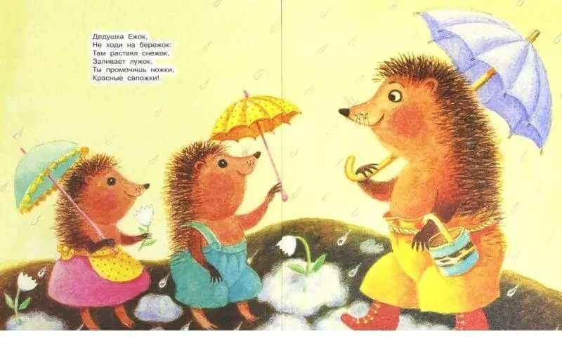 Мишка косолапый. 2017 год