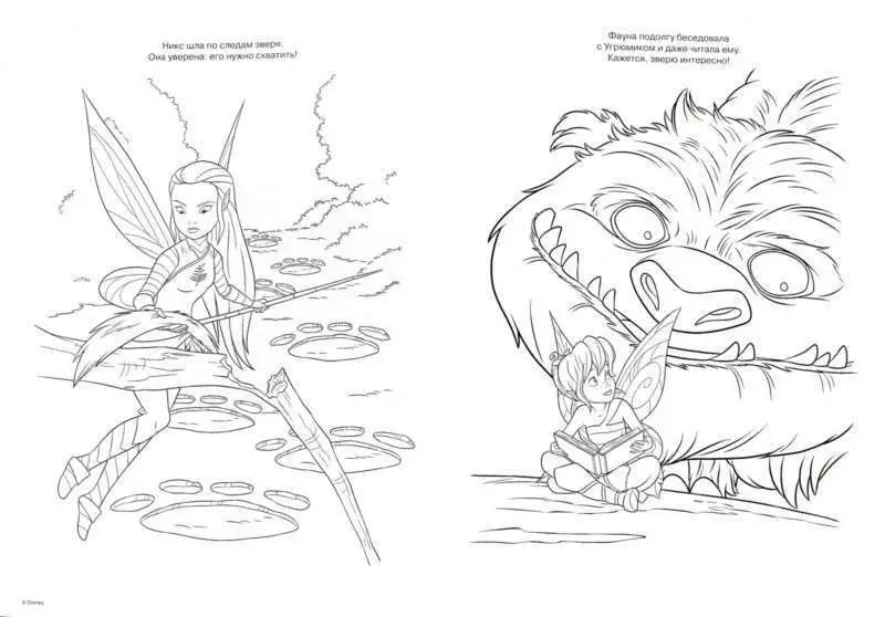 Раскраска с диадемой N РСД 1504 "Феи"