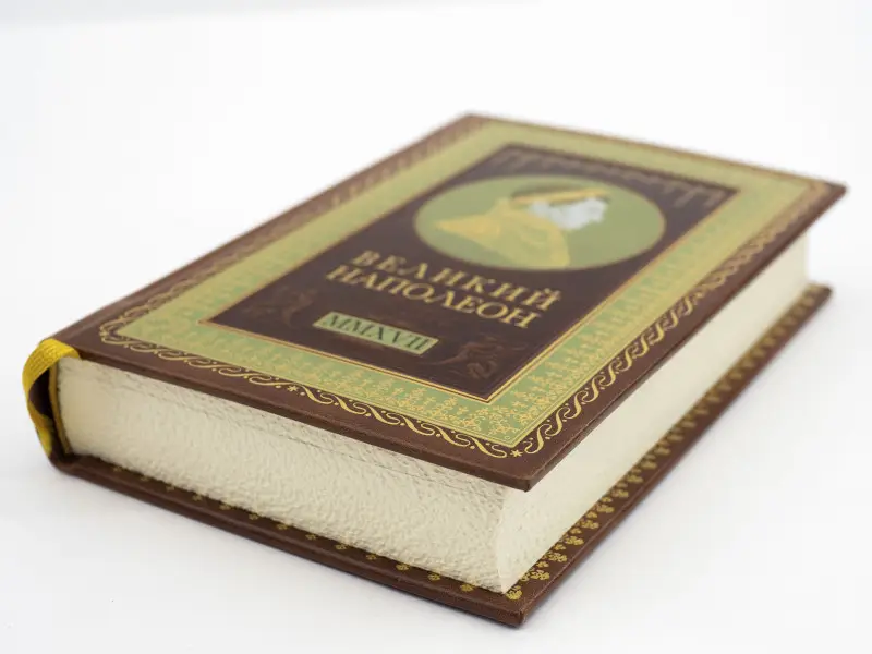 Подарочная книга. Великий Наполеон. Моя любовница - власть! Тененбаум Борис