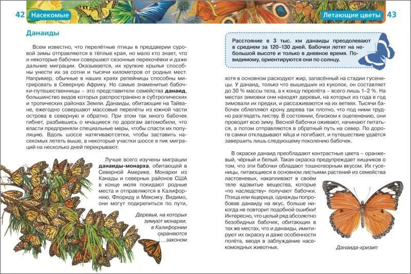 Уценка. Насекомые. Детская энциклопедия Росмэн