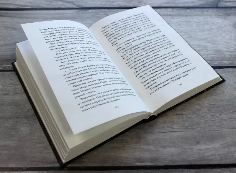 Кей Л. Муди. Двор ядовитых шипов (#1)