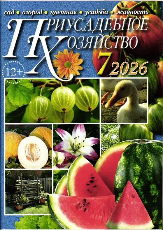 Приусадебное Хозяйство 07/26