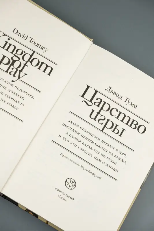 Уценка. Туми Дэвид: Царство игры