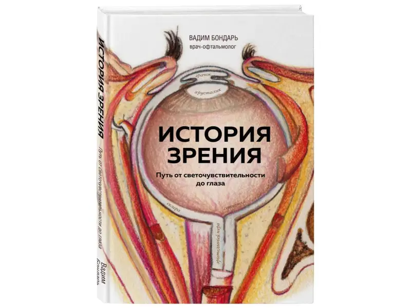 История зрения. Путь от светочувствительности до глаза