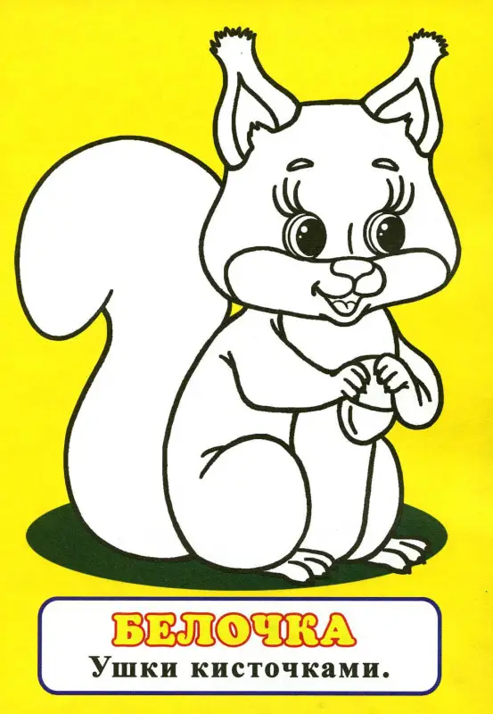 Узнай и раскрась (Котенок)