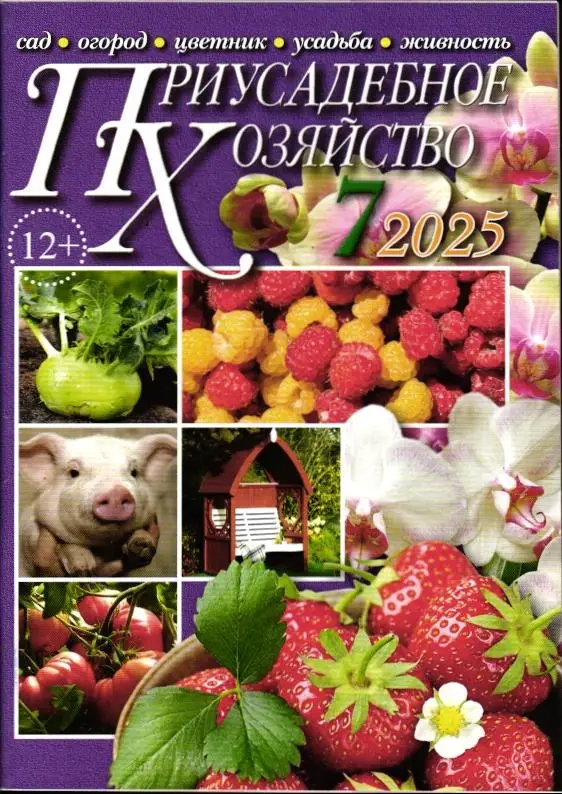 Приусадебное Хозяйство 07/25