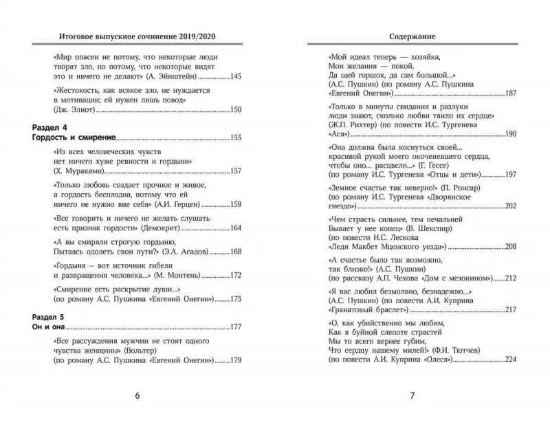 Уценка. Елена Амелина: Итоговое выпускное сочинение 2019/2020