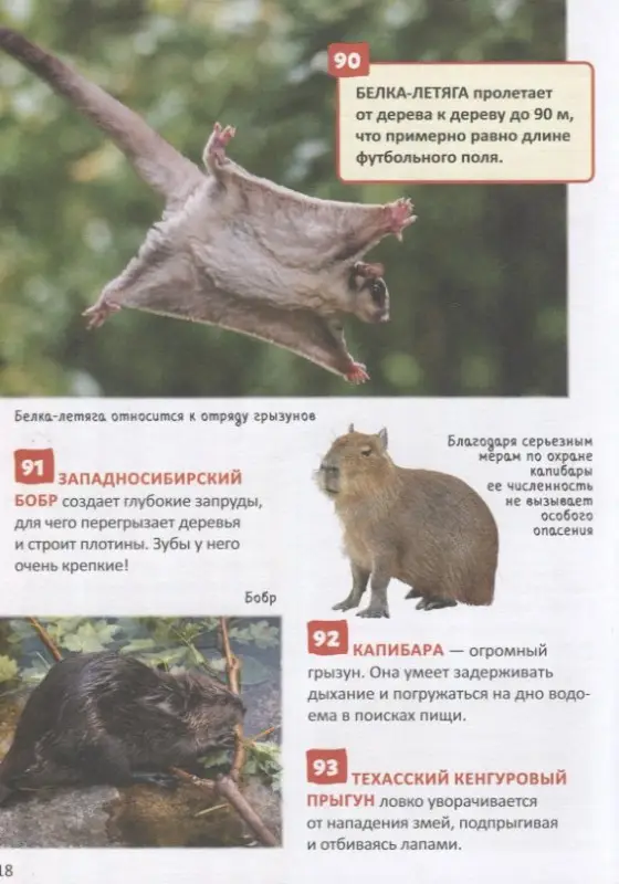 Уценка. Красная книга. 250 фактов. Энциклопедия российского школьника