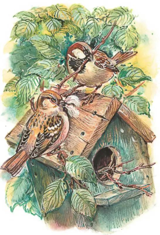 Уценка. Сетон-Томпсон Э. Рассказы о животных (ВЧ)