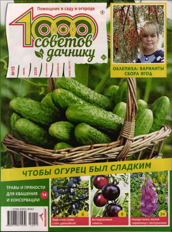 1000 советов дачнику 15/26