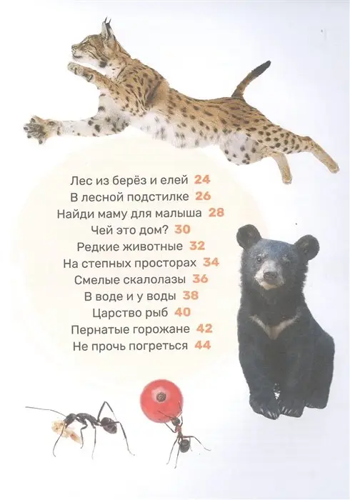 Уценка. Животные. Первая энциклопедия малыша