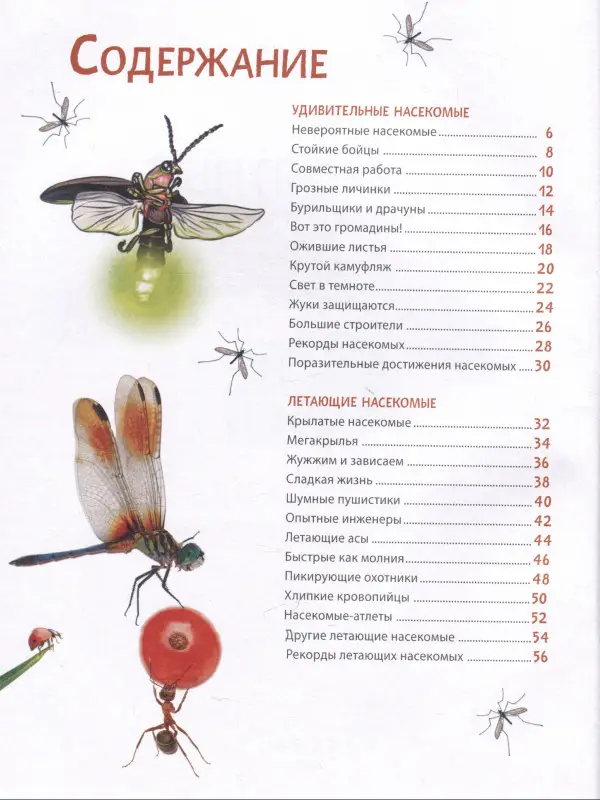 Невероятные насекомые и другие маленькие животные