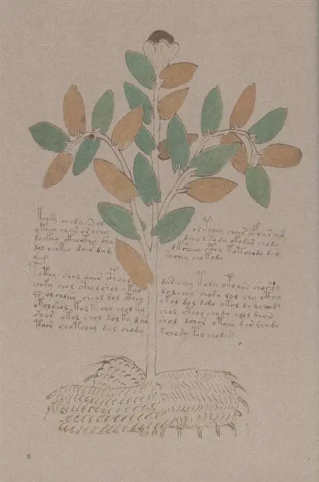 Манускрипт Войнича