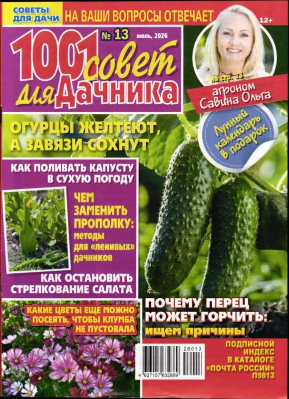 1001 совет для дачника 13/26
