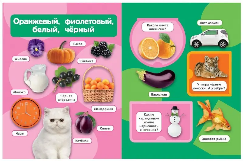 Цвета и формы (Книжка с окошками рос)