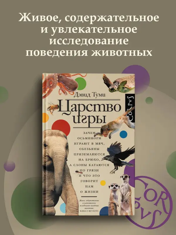 Уценка. Туми Дэвид: Царство игры