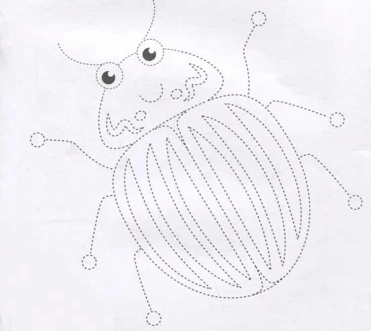 Жучки. Обведи и раскрась. Книжка-раскраска