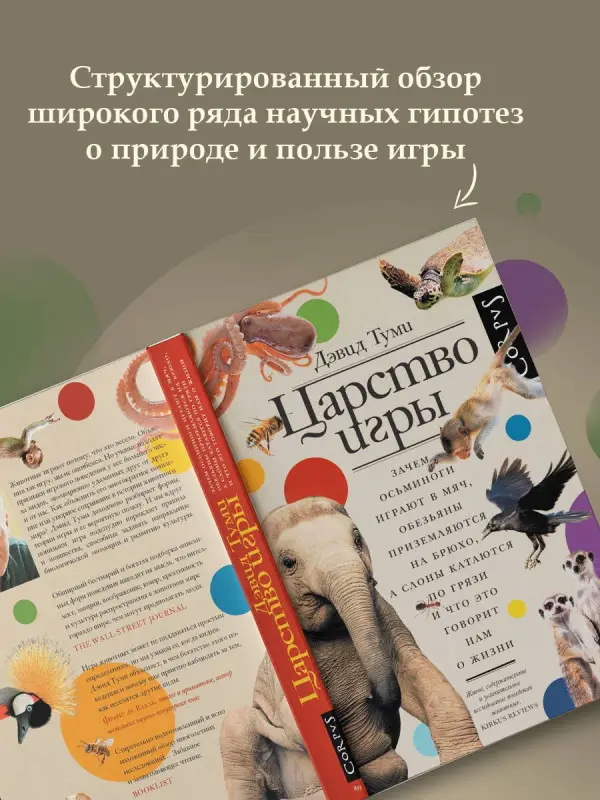Уценка. Туми Дэвид: Царство игры