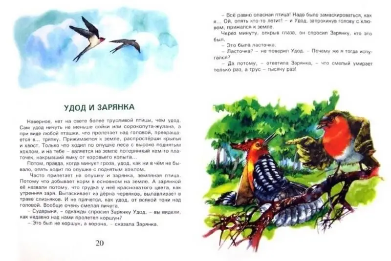 Сказки у сороки на хвосте. Кастрючин В А