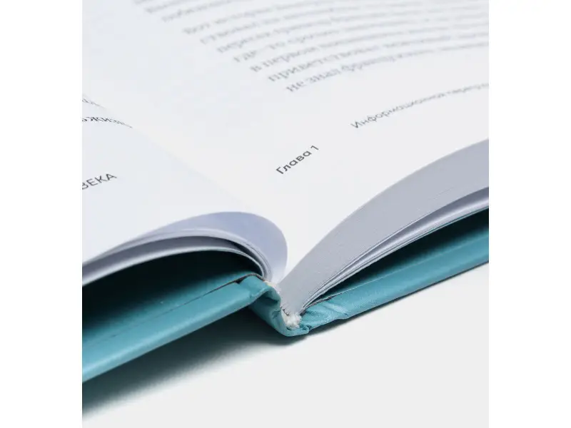 Киселев Максим. Ментальные привычки критически мыслящего человека