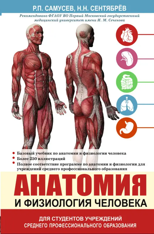 Уценка. Самусев Рудольф Павлович: Анатомия и физиология человека. Учебное пособие для студентов учреждений среднего профессионального образования