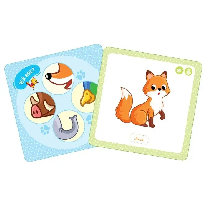 Тараненко Марина Викторовна: Многоразовые водные карточки-раскраски. Дикие животные