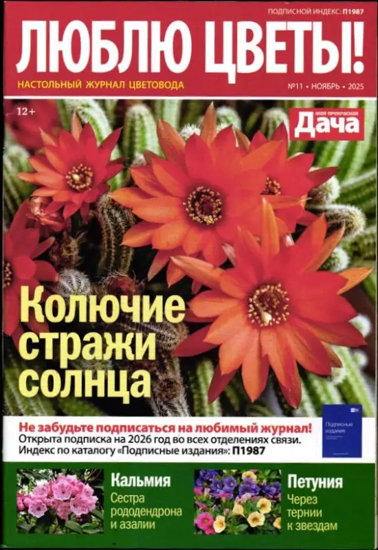 Люблю Цветы 11/25