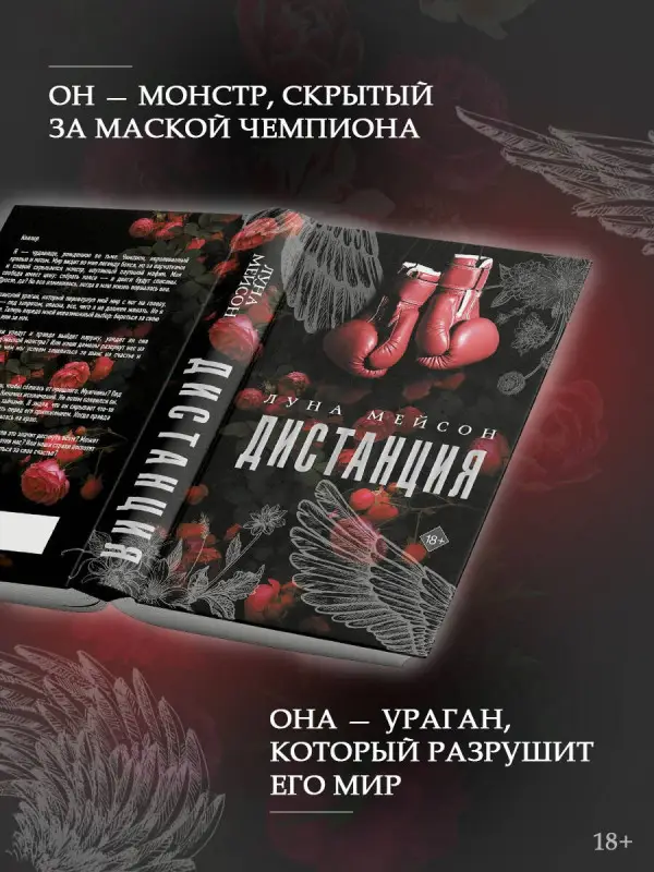 Уценка. Мейсон Луна: Дистанция