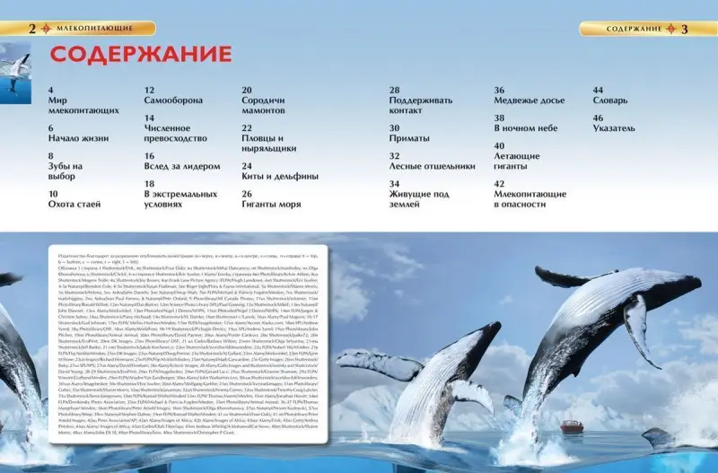 Уценка. Млекопитающие. Детская энциклопедия