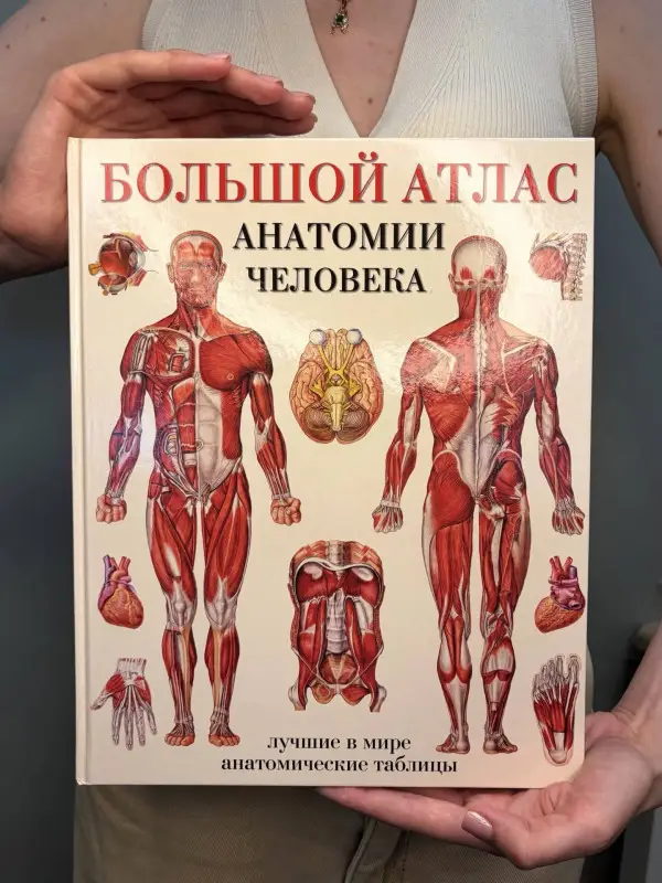 Уценка. Большой атлас анатомии человека