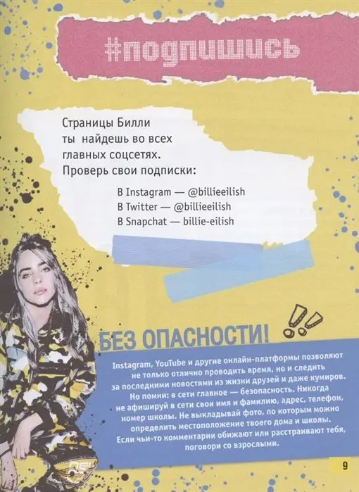 Billie Eilish. Большая книга фаната. Салли Морган