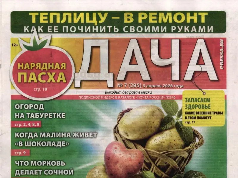 Дача (газета) 07/26