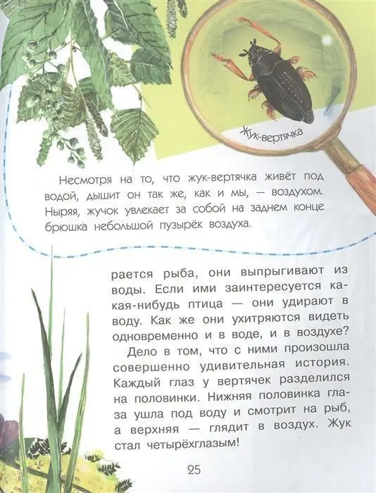 Сколько глаз у стрекозы?