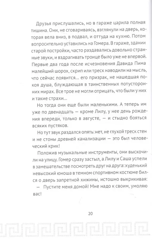 Уценка. Плишота Анн: Гомер Пим и секрет Одиссея